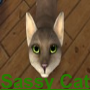 Sassy Cat's Avatar