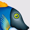 leefish's Avatar